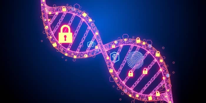 El ADN de la Seguridad: Construyendo Hábitos Duraderos